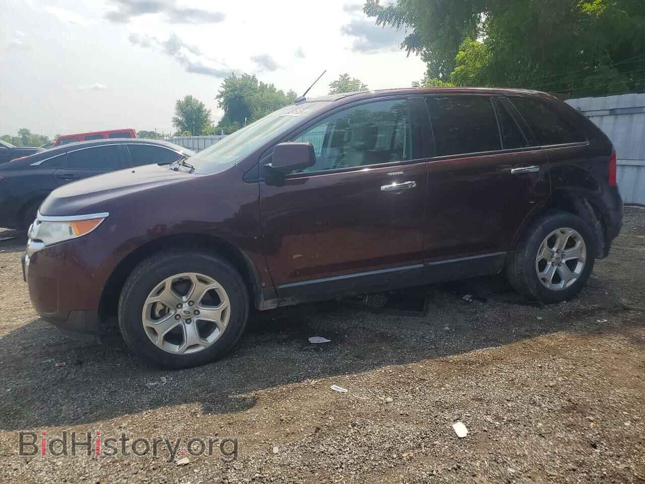 Фотография 2FMDK4JC8BBA65431 - FORD EDGE 2011