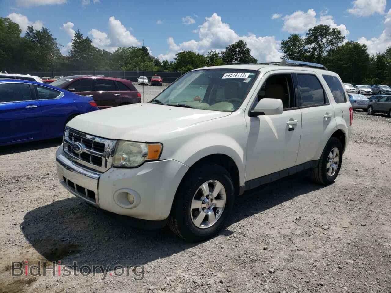Фотография 1FMCU0EG3BKB73800 - FORD ESCAPE 2011