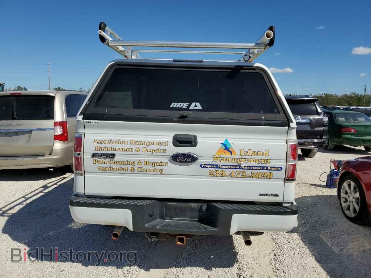 2013 FORD F150 - VIN: 1FTMF1CF1DFD17391 - Фото 6