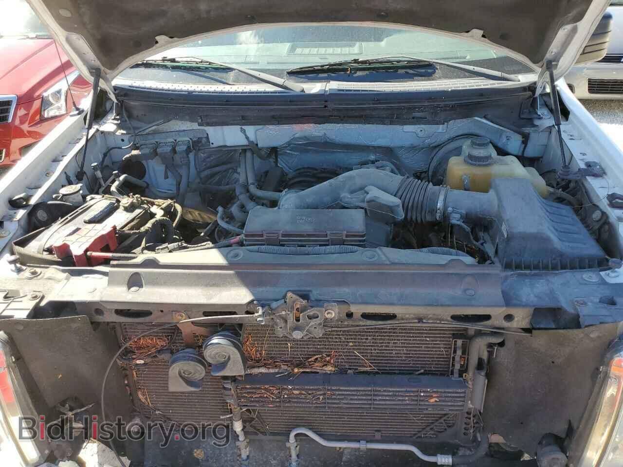 2013 FORD F150 - VIN: 1FTMF1CF1DFD17391 - Фото 7