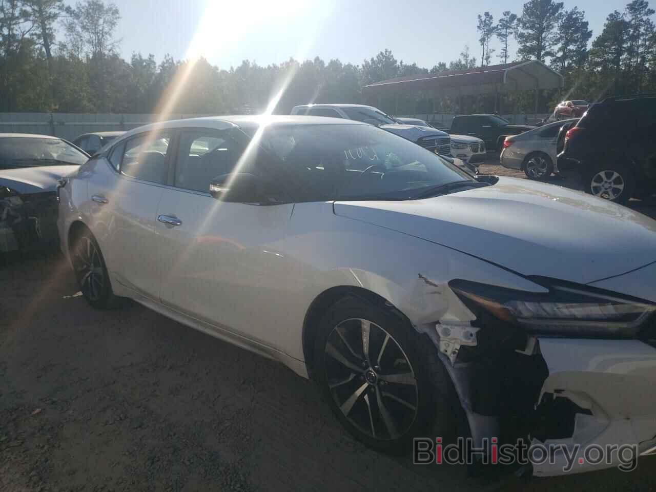 Photo 1N4AA6CV1NC504547 - NISSAN MAXIMA 2022