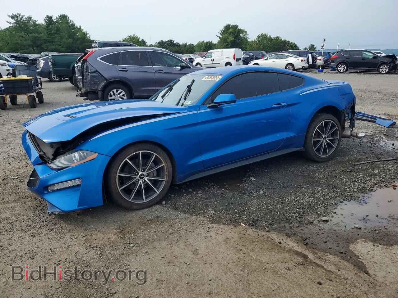 Photo 1FA6P8THXK5117828 - FORD MUSTANG 2019