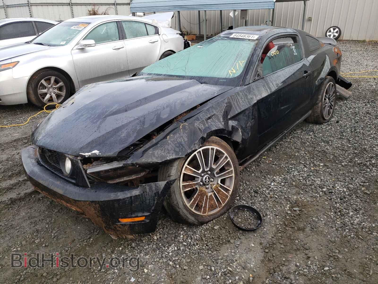 2010 FORD MUSTANG - VIN: 1ZVBP8CH8A5116942 - Фото 2