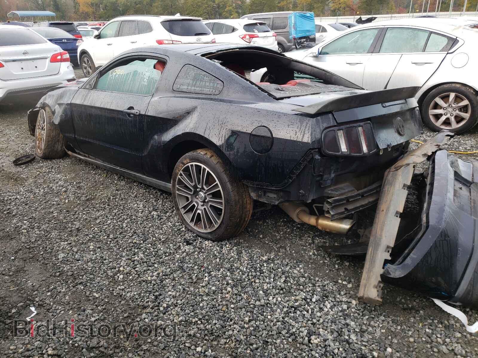 2010 FORD MUSTANG - VIN: 1ZVBP8CH8A5116942 - Фото 3