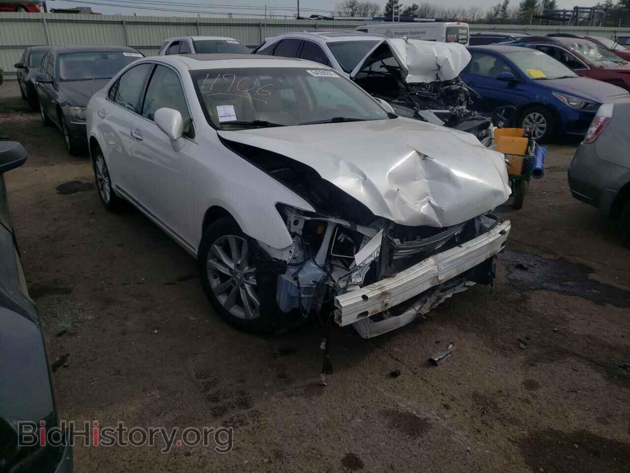 Фотография JTHBK1EG4A2384237 - LEXUS ES350 2010