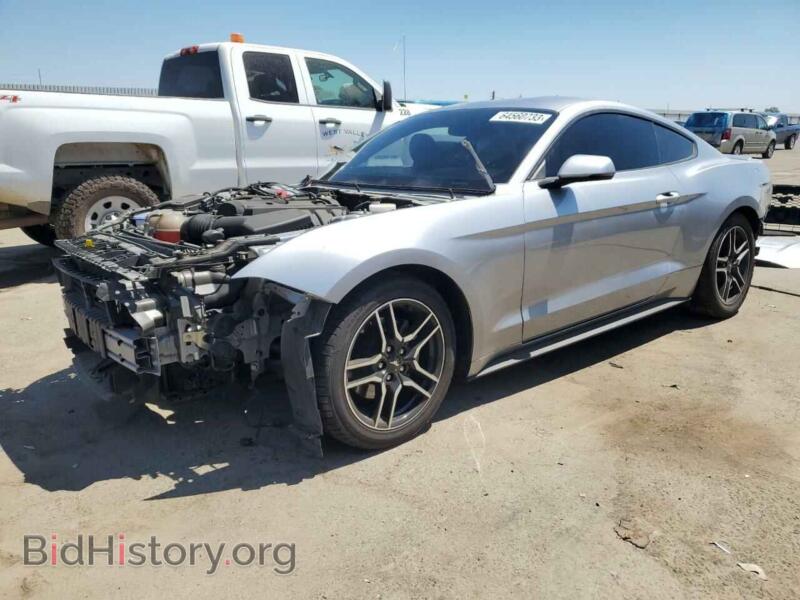 2020 Ford ALL MODELS Mustang (VIN 1FA6P8TH0L5126362) — фото 1 из 13, Copart, повреждение: по всему кузову