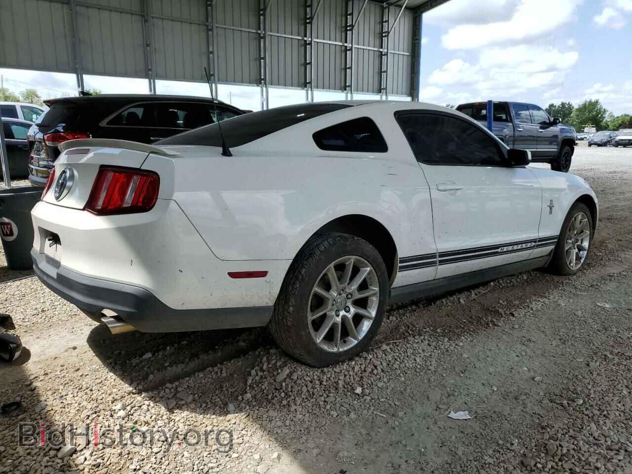 2010 FORD ALL Models - VIN: 1ZVBP8AN9A5145245 - Фото 3