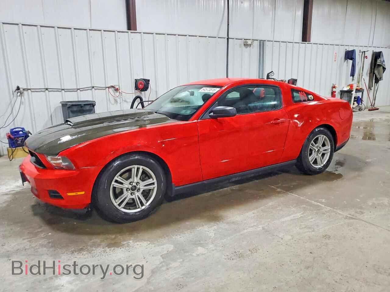 Photo 1ZVBP8AM1B5148813 - FORD MUSTANG 2011
