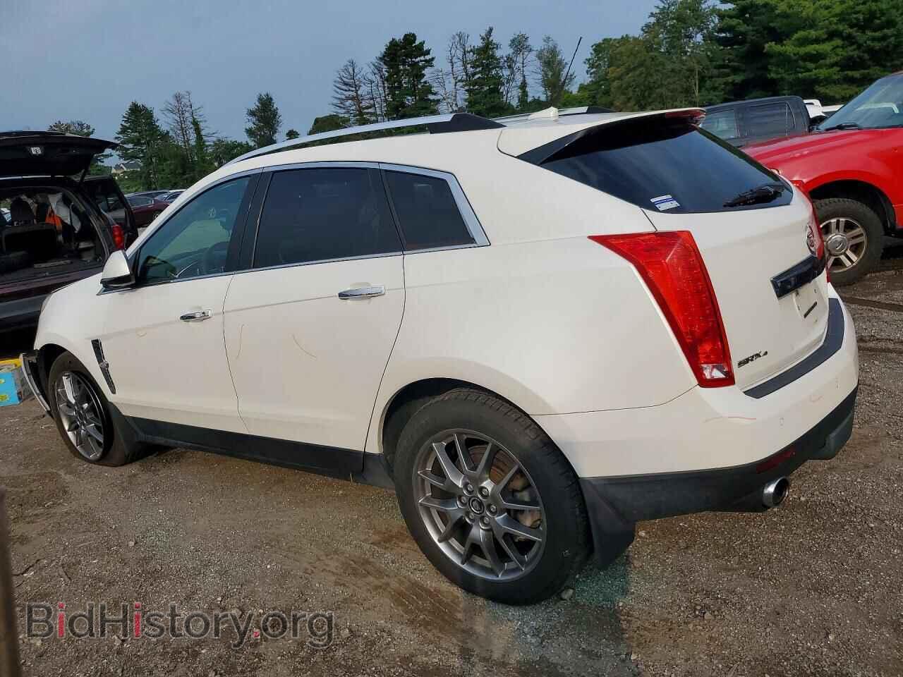 2011 CADILLAC SRX - VIN: 3GYFNFEY8BS634904 - Фото 2