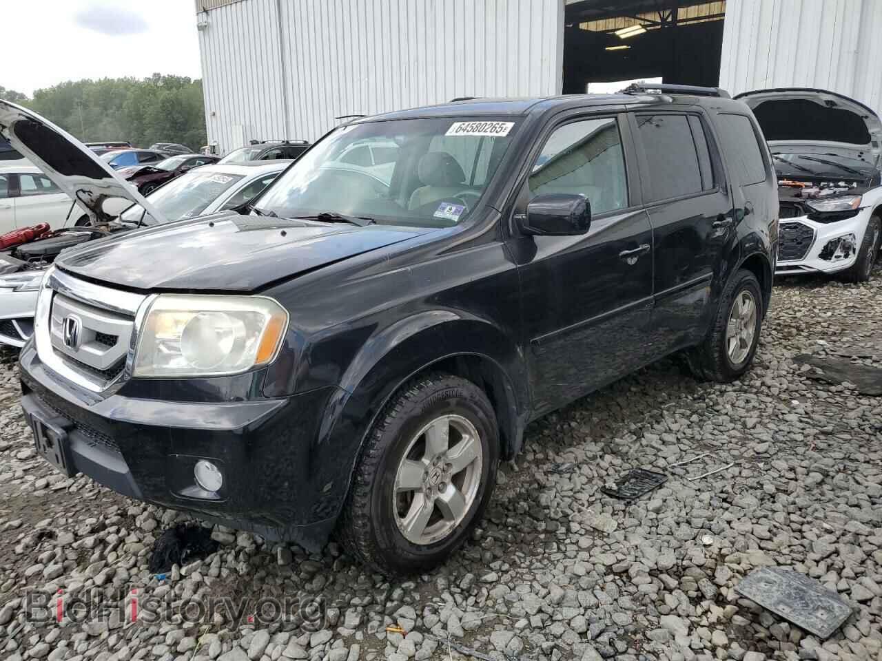 Фотография 5FNYF4H46BB034352 - HONDA PILOT 2011