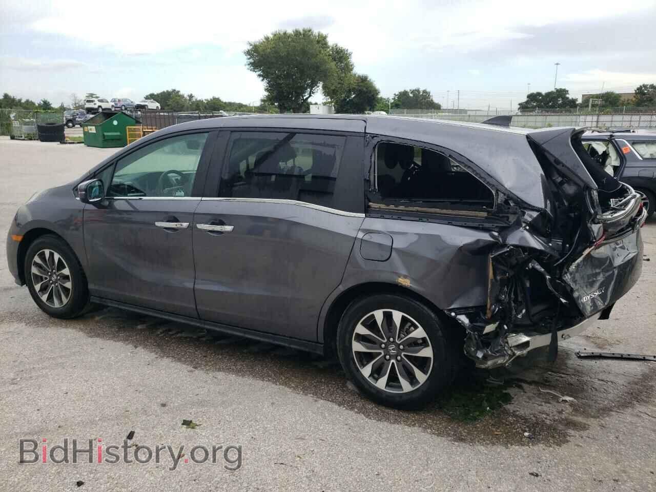 2024 HONDA All Models - VIN: 5FNRL6H66RB048496 - Фото 2