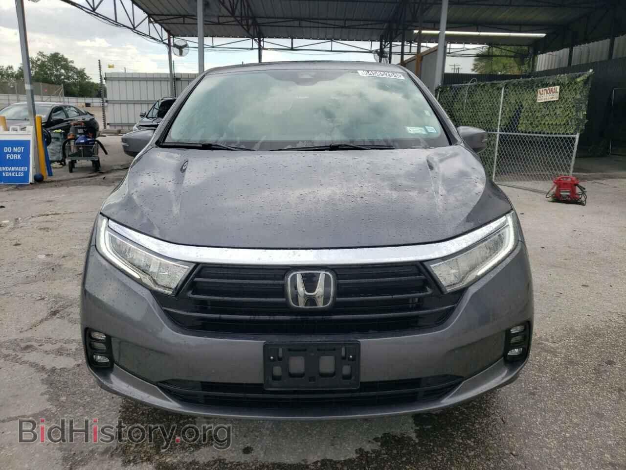 2024 HONDA All Models - VIN: 5FNRL6H66RB048496 - Фото 5