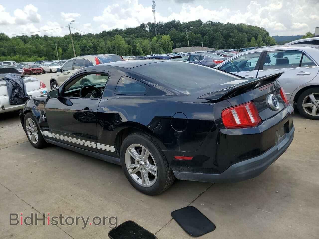2010 FORD ALL Models - VIN: 1ZVBP8AN7A5180687 - Фото 2