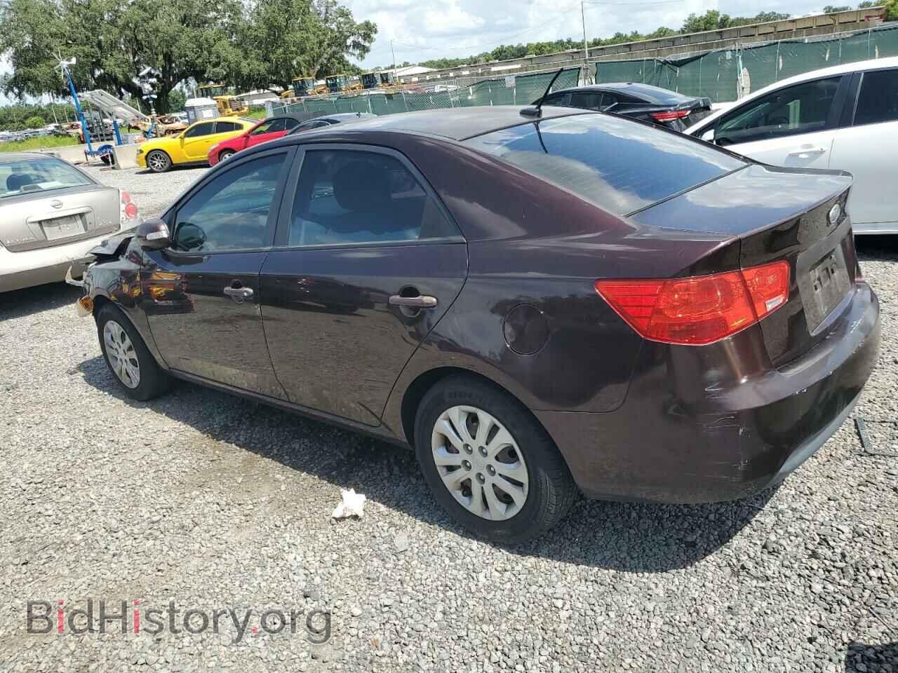 2010 KIA FORTE - VIN: KNAFU4A2XA5100520 - Фото 2