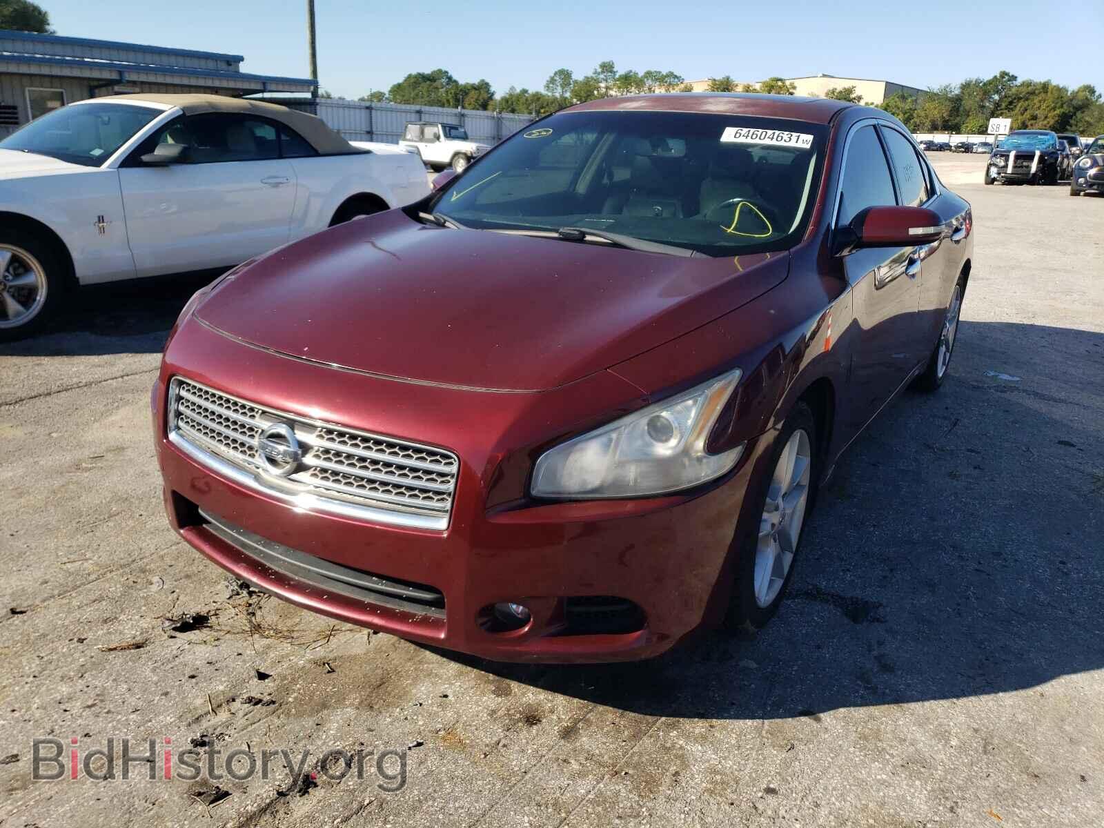 2010 NISSAN MAXIMA - VIN: 1N4AA5AP9AC861144 - Фото 2