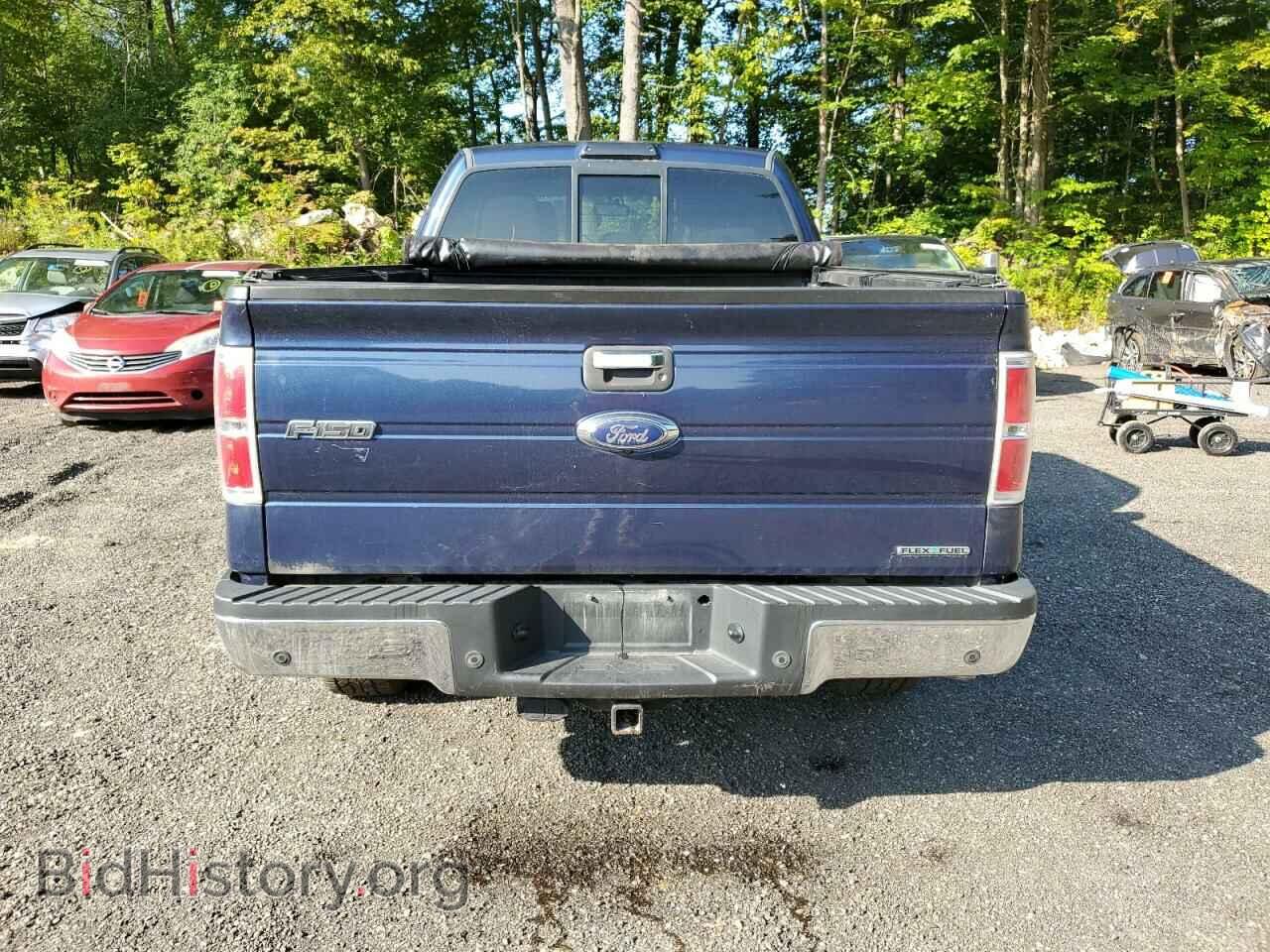 2013 FORD F-150 - VIN: 1FTFX1EF1DFC23742 - Фото 6