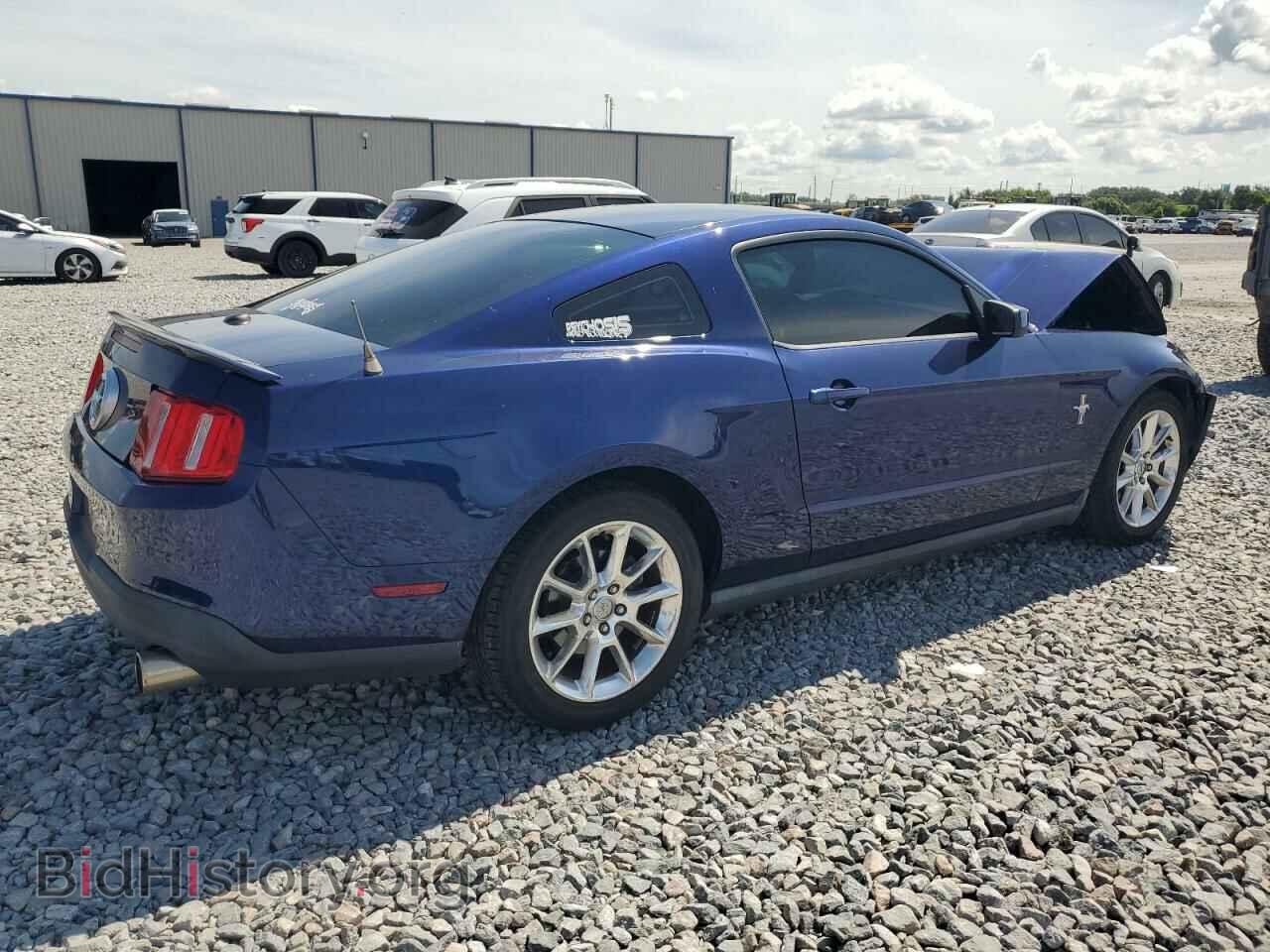 2010 FORD ALL Models - VIN: 1ZVBP8AN0A5104423 - Фото 3