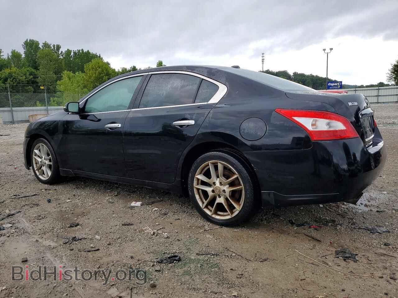 2009 NISSAN MAXIMA - VIN: 1N4AA51E99C858951 - Фото 2