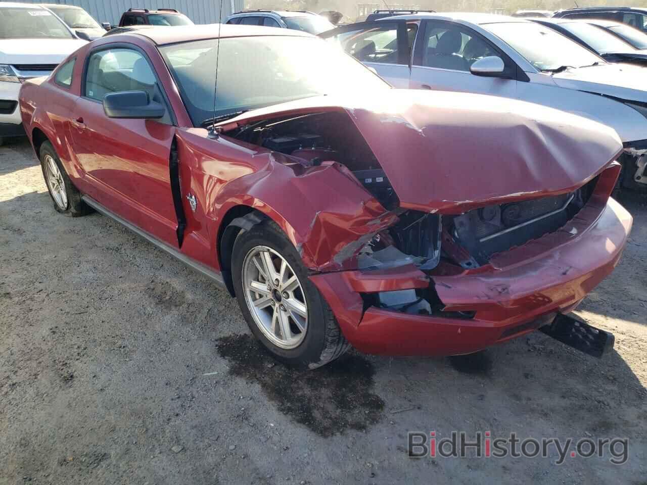 Photo 1ZVHT80N195134226 - FORD MUSTANG 2009