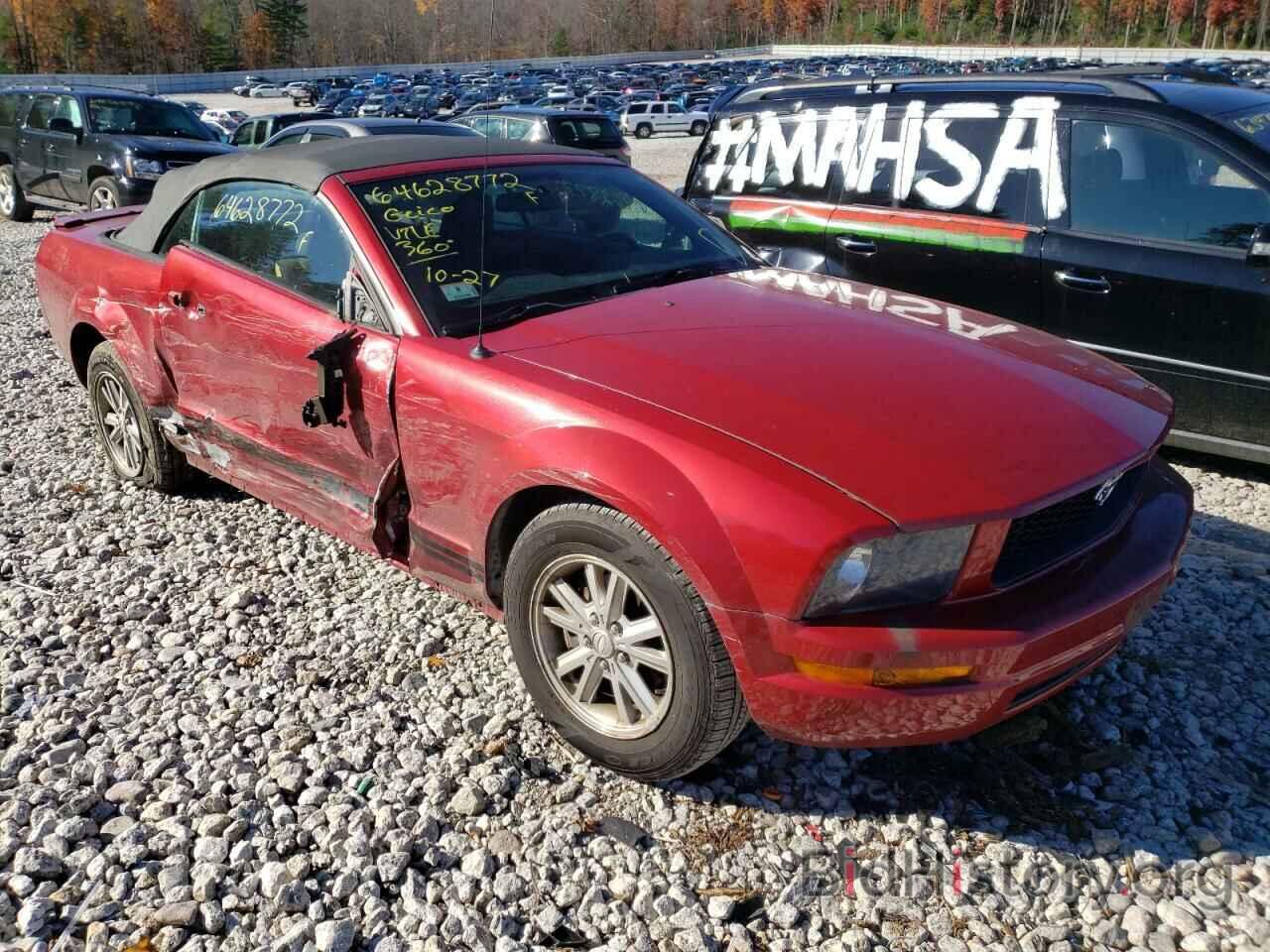 Photo 1ZVHT84N385144748 - FORD MUSTANG 2008