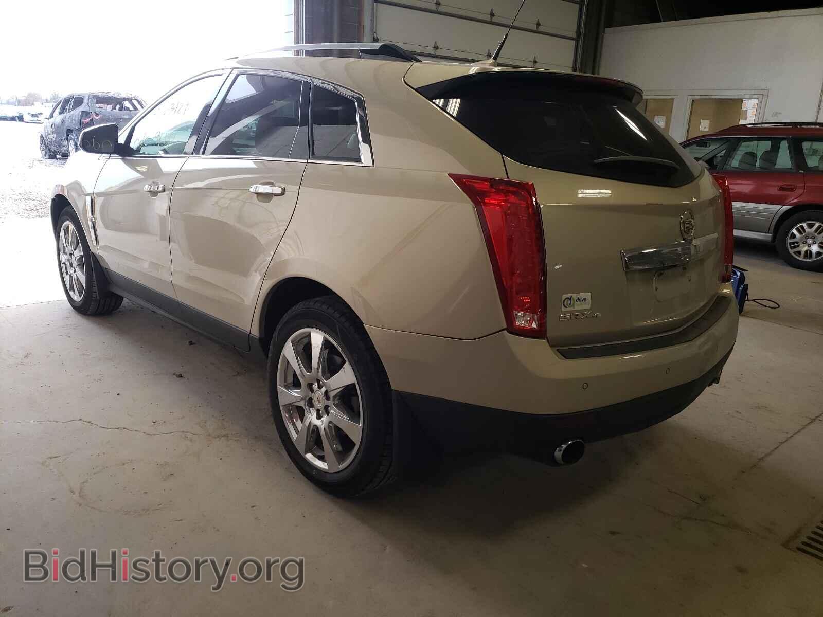 2010 CADILLAC SRX - VIN: 3GYFNFEY7AS571504 - Фото 3