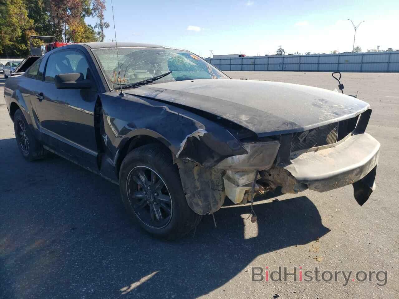 Photo 1ZVHT80N895105077 - FORD MUSTANG 2009
