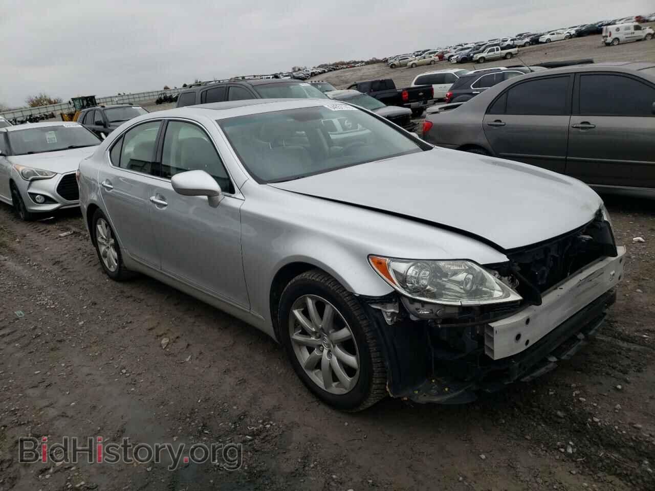 Photo JTHBL46F885058910 - LEXUS LS460 2008