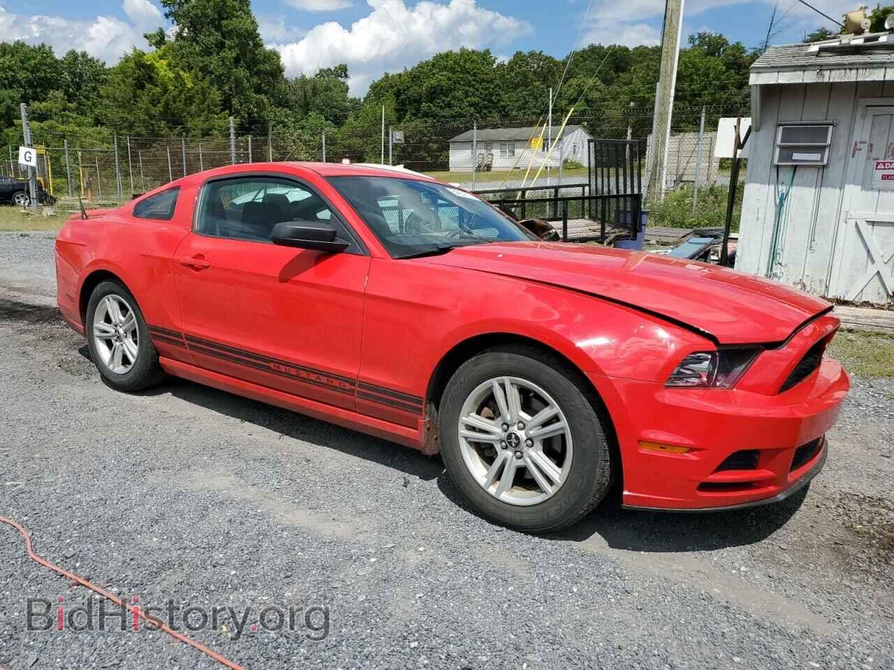 2013 FORD ALL Models - VIN: 1ZVBP8AM6D5242799 - Фото 4