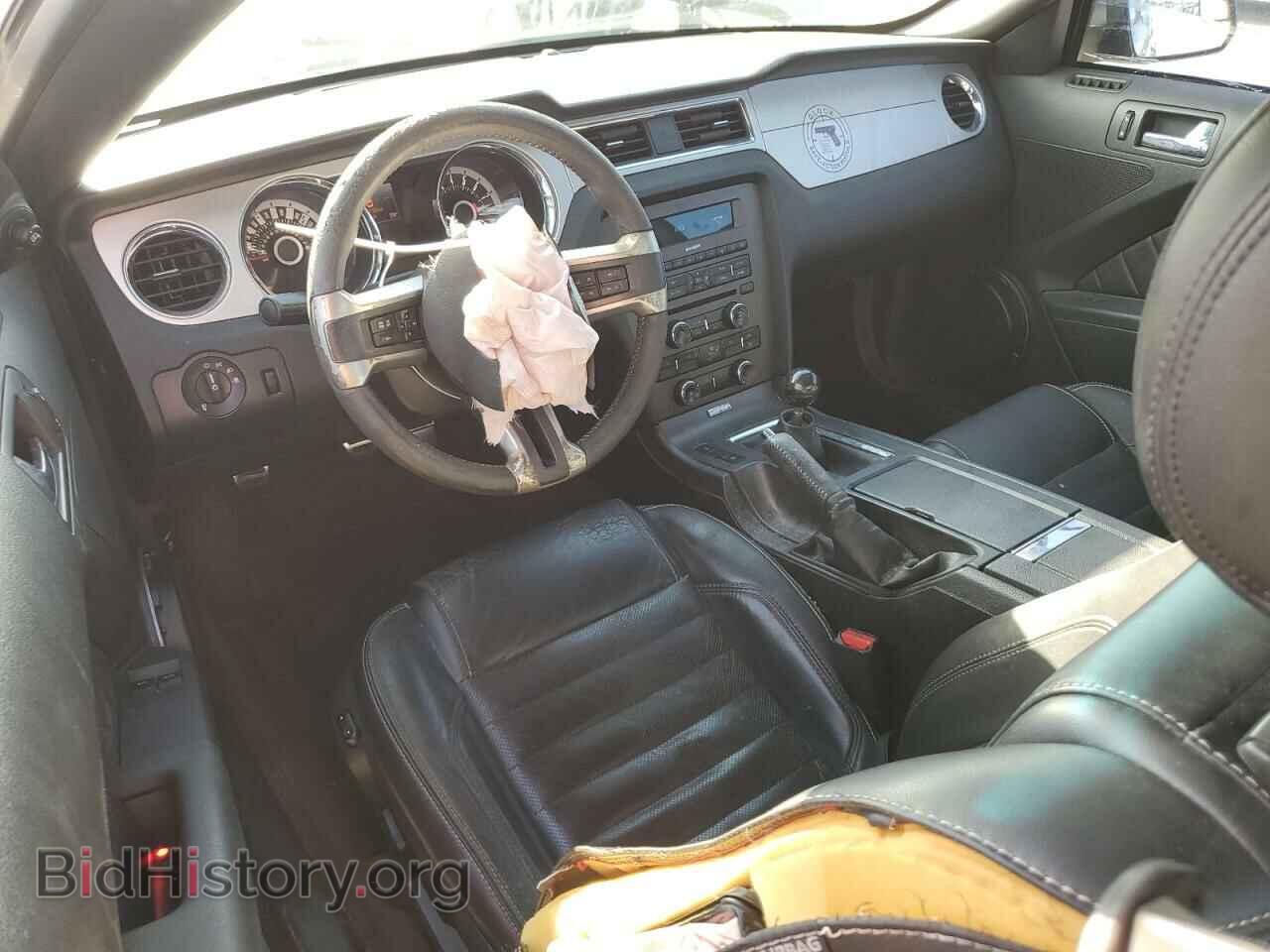 2013 FORD MUSTANG - VIN: 1ZVBP8CF3D5274057 - Фото 8