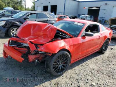 2014 Ford ALL MODELS Mustang, красный — VIN 1ZVBP8AM9E5308425, Copart