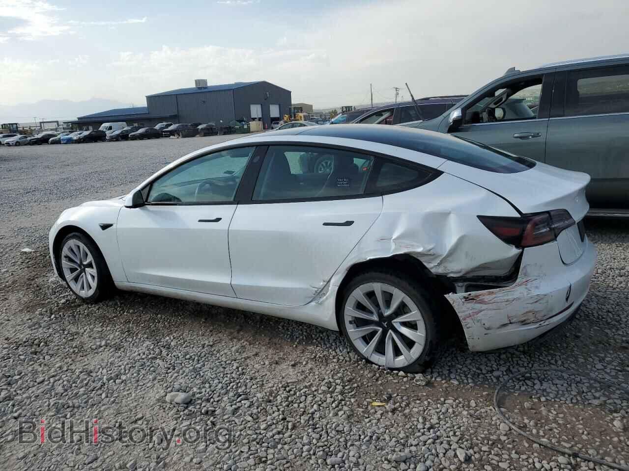 2023 TESLA MODEL 3 - VIN: 5YJ3E1EA5PF458554 - Photo 2