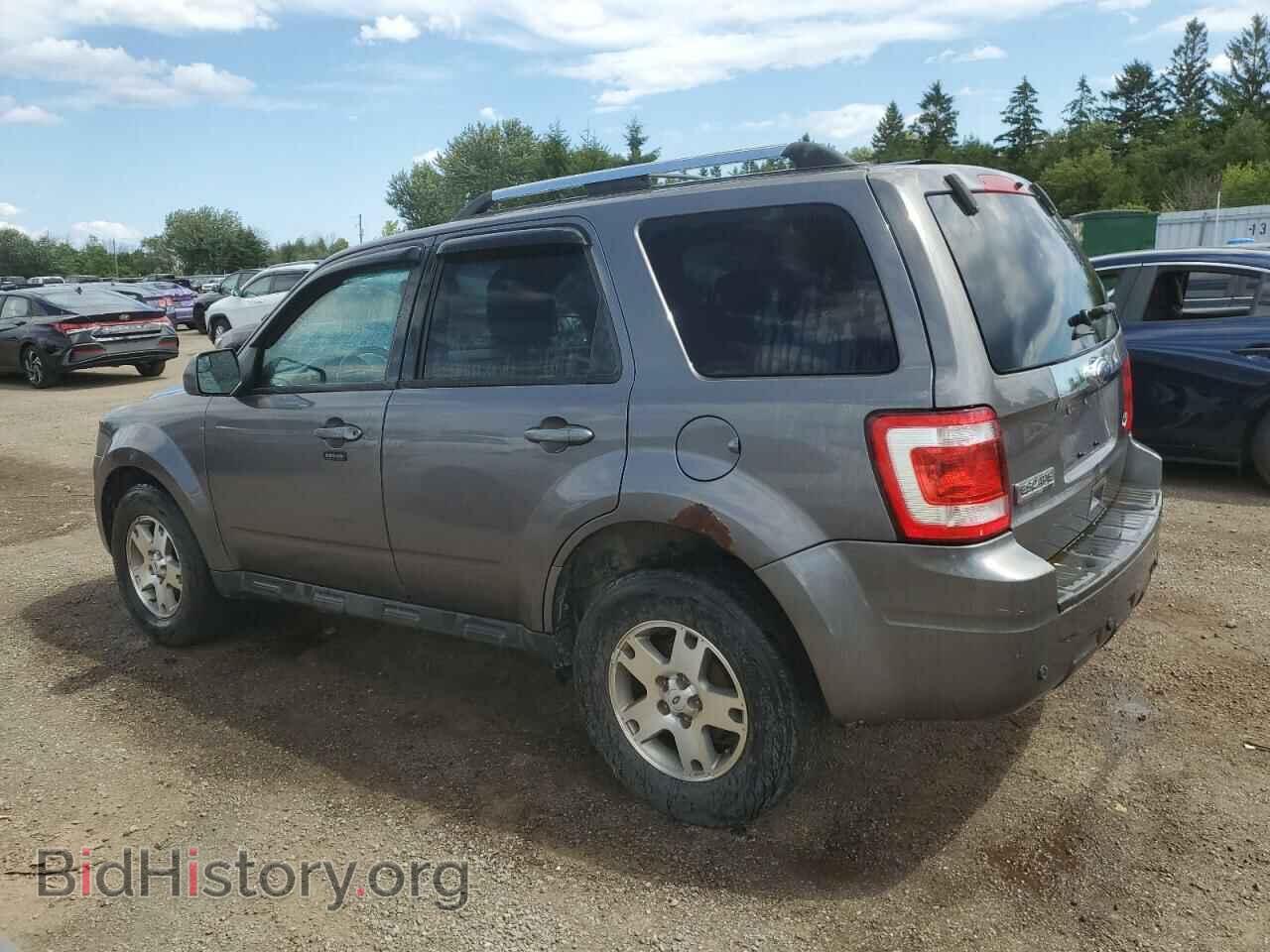 2011 FORD ESCAPE - VIN: 1FMCU9EG1BKC67629 - Фото 2