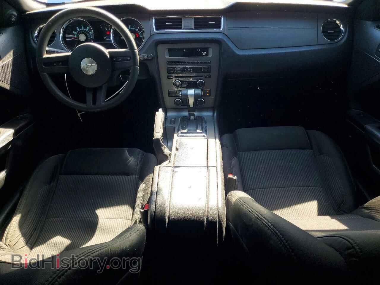 2010 FORD MUSTANG - VIN: 1ZVBP8AN7A5165574 - Фото 8