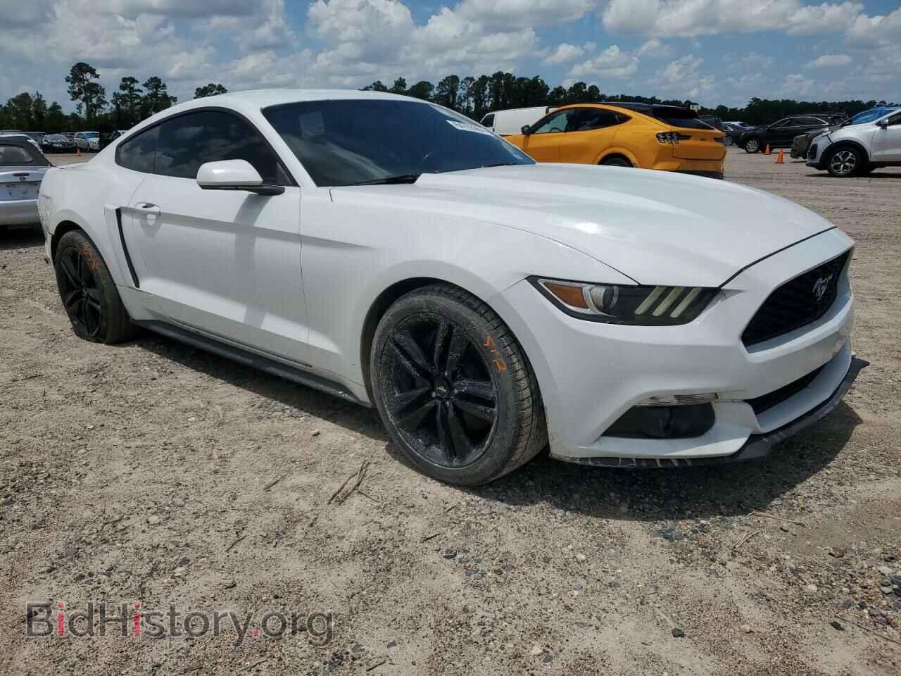 2017 FORD ALL Models - VIN: 1FA6P8THXH5339309 - Фото 4