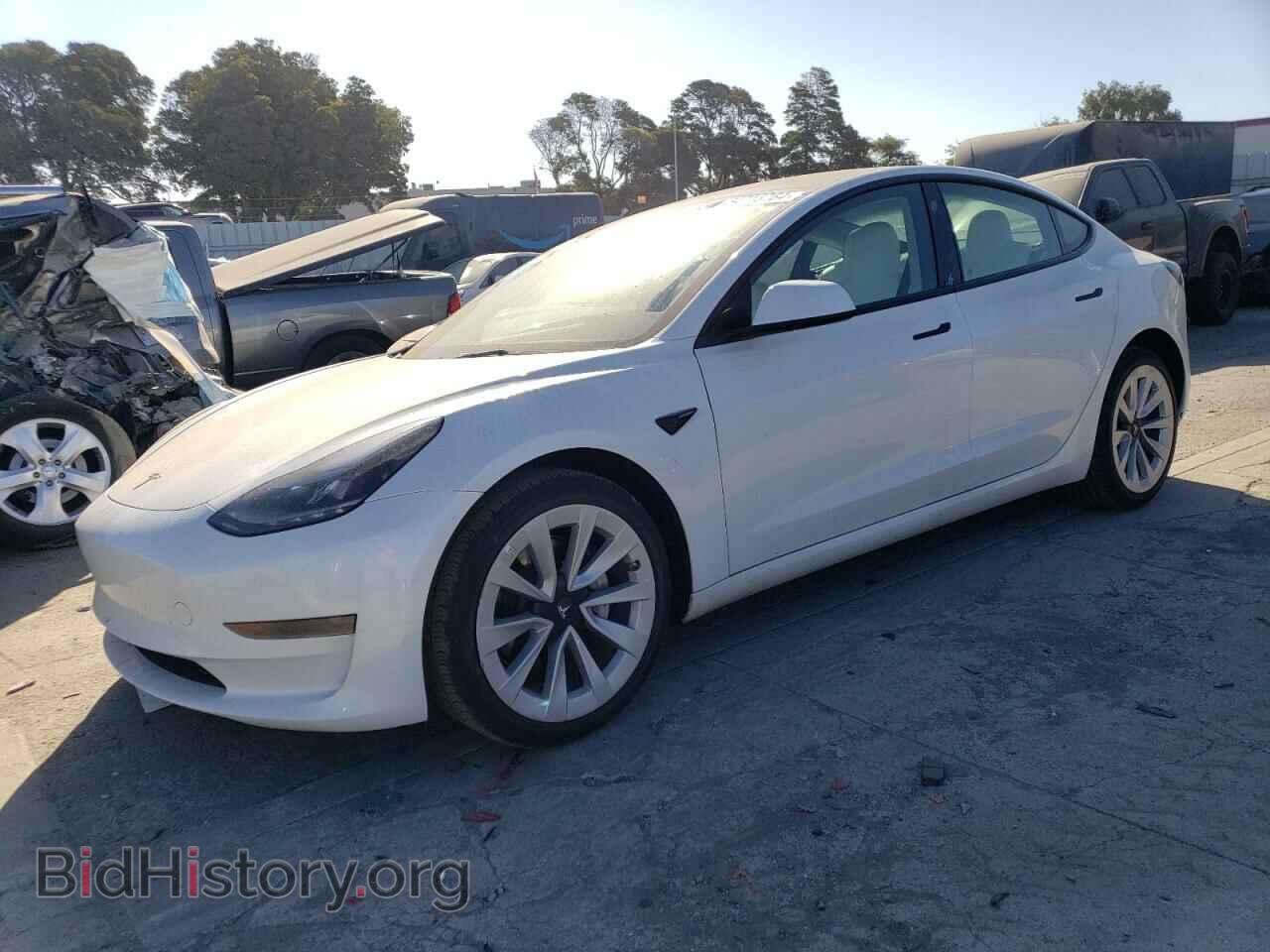 Photo 5YJ3E1EA7PF383310 - TESLA MODEL 3 2023