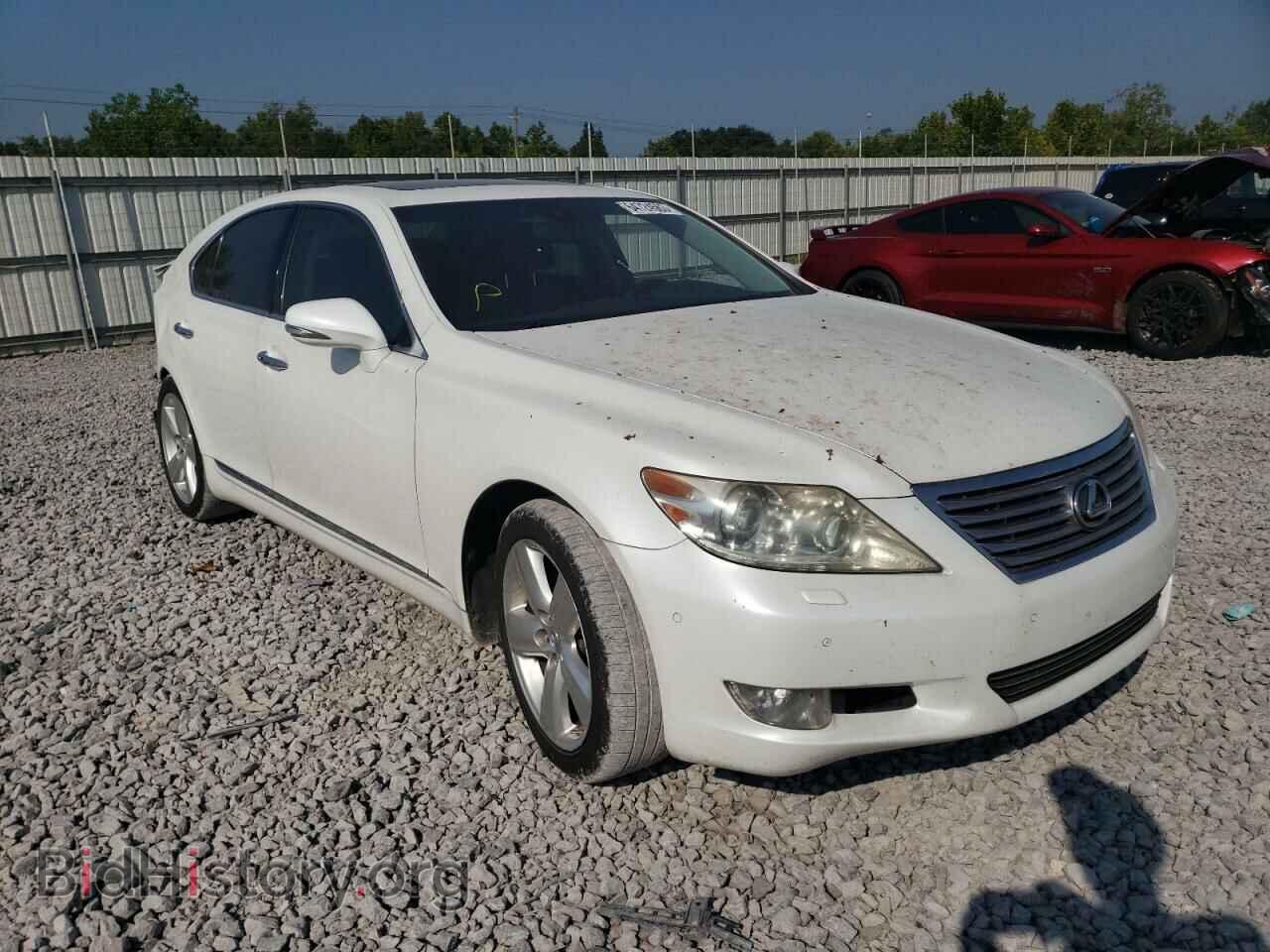 2011 LEXUS LS460 - VIN: JTHBL5EF0B5102719 - Фото 4
