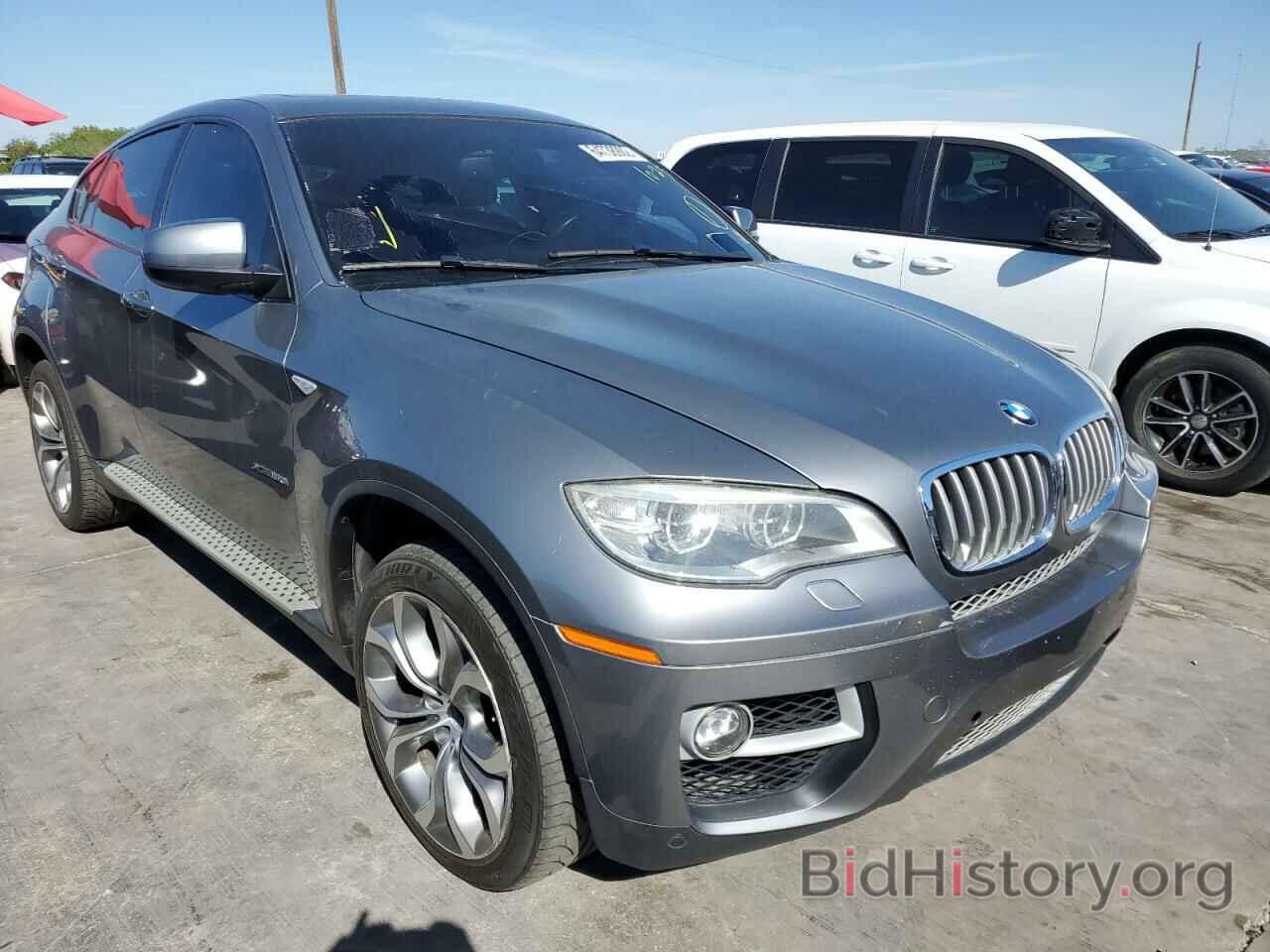 Photo 5UXFG8C56DL591787 - BMW X6 2013