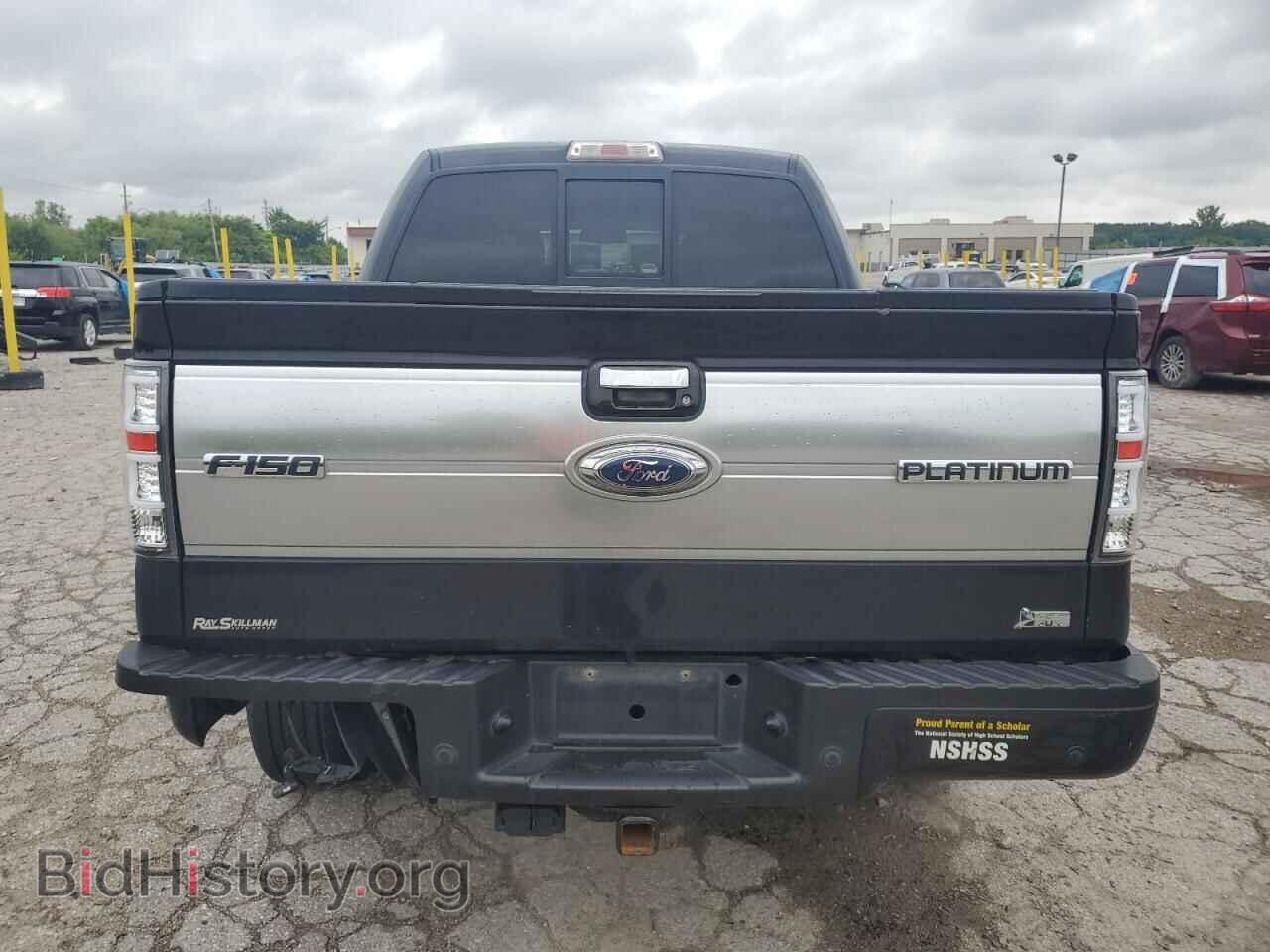 2010 FORD F-150 - VIN: 1FTFW1EV8AFA16321 - Фото 6