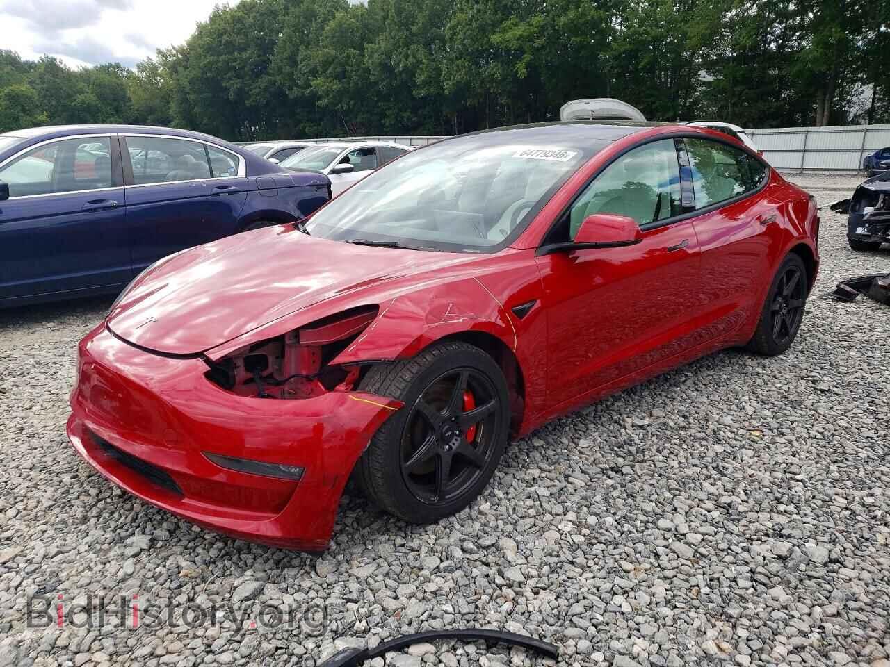 Фотография 5YJ3E1EC4PF408441 - TESLA MODEL 3 2023