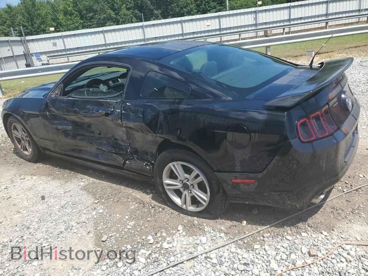 2014 FORD ALL Models - VIN: 1ZVBP8AM8E5279998 - Фото 2