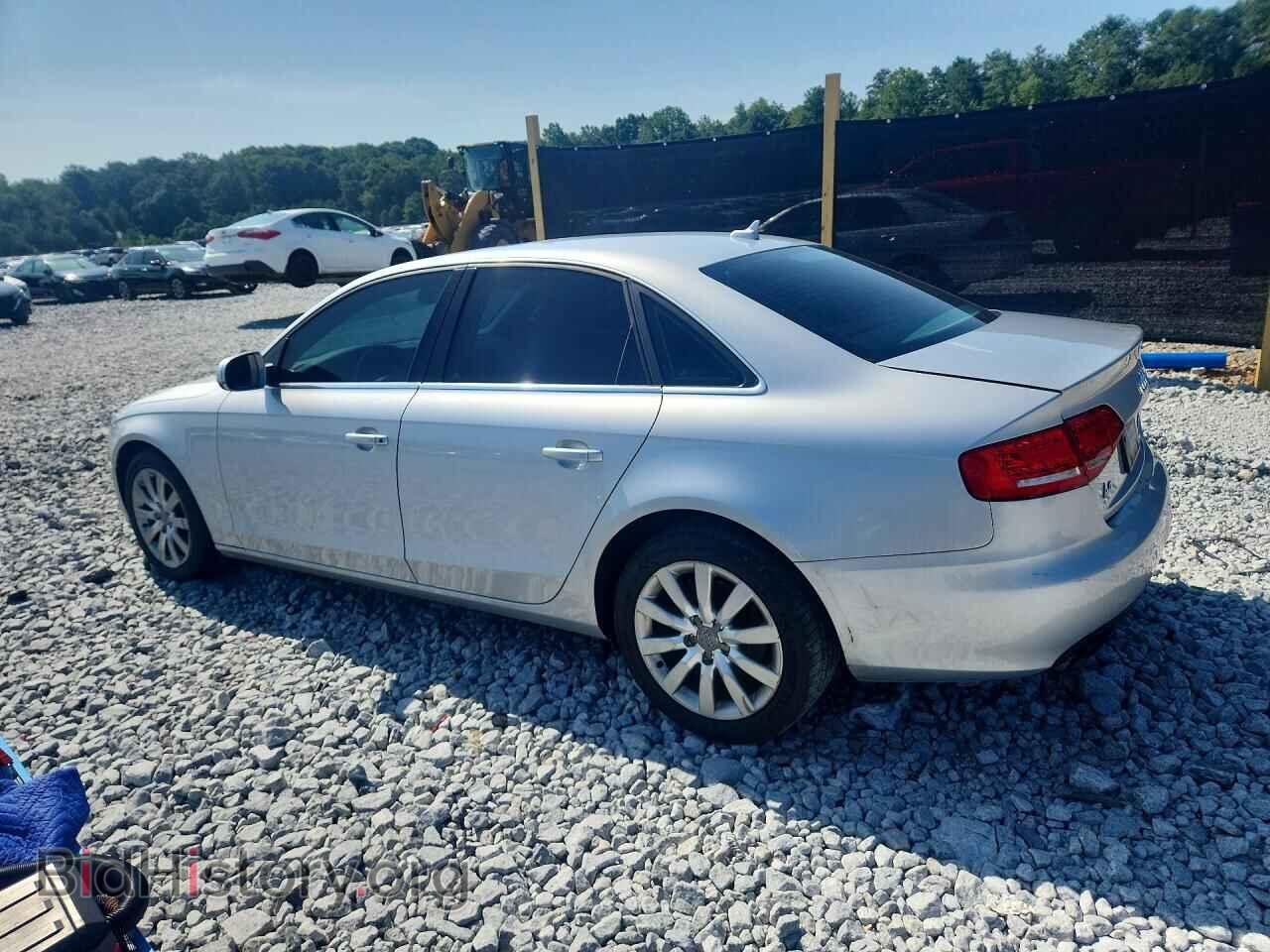 2010 AUDI A4 - VIN: WAUEFAFL9AN057634 - Фото 2