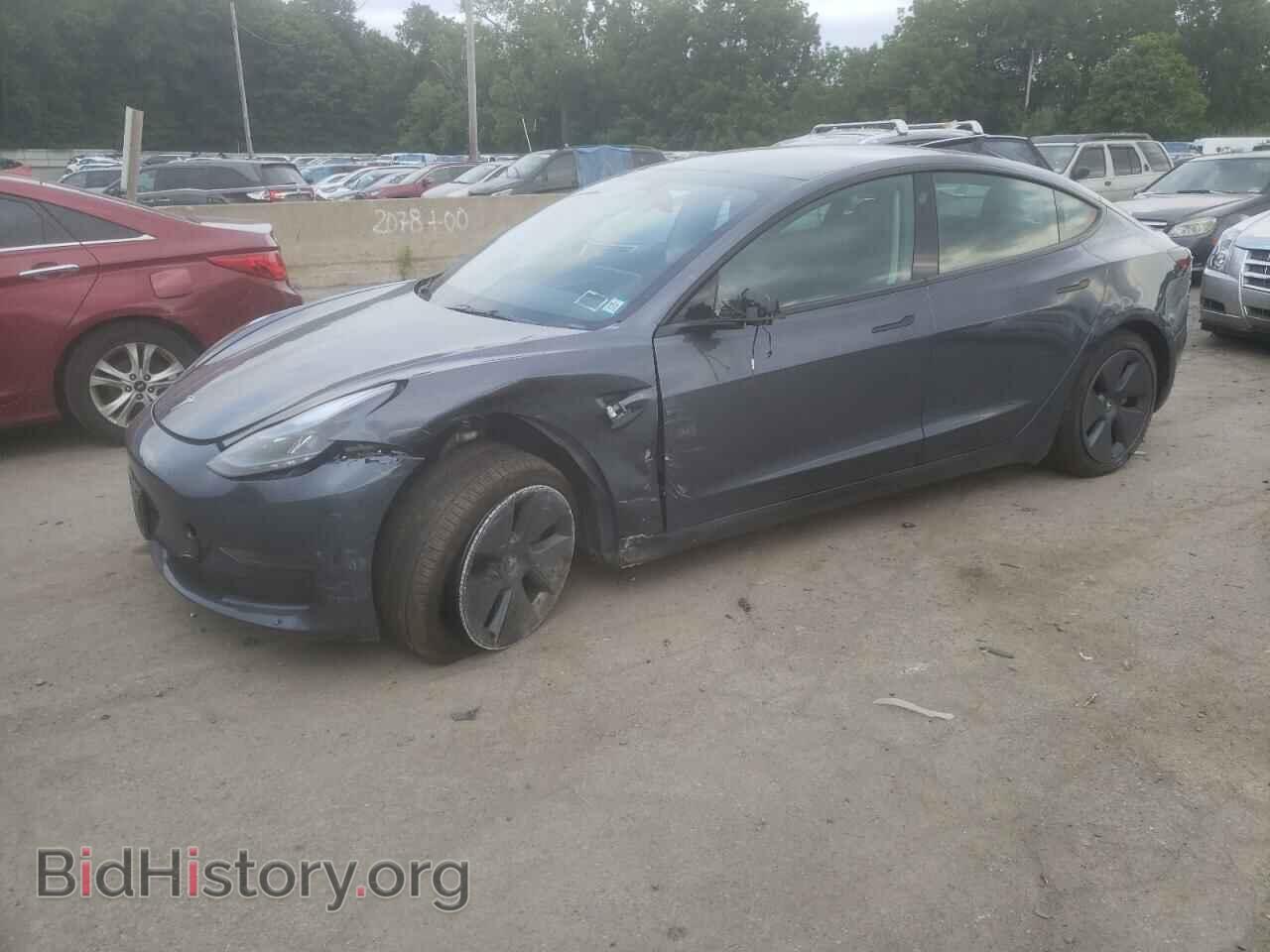 Photo 5YJ3E1EA7PF552984 - TESLA MODEL 3 2023