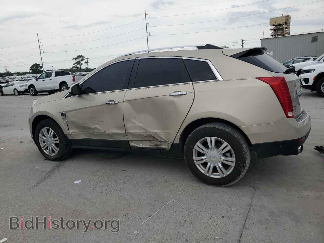 2010 CADILLAC SRX - VIN: 3GYFNAEY7AS557203 - Фото 2