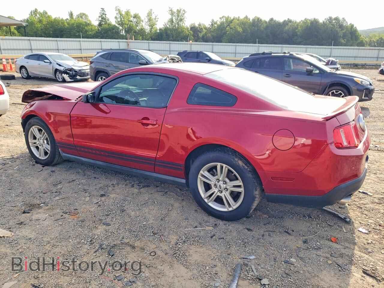 2011 FORD MUSTANG - VIN: 1ZVBP8AM4B5123792 - Photo 2