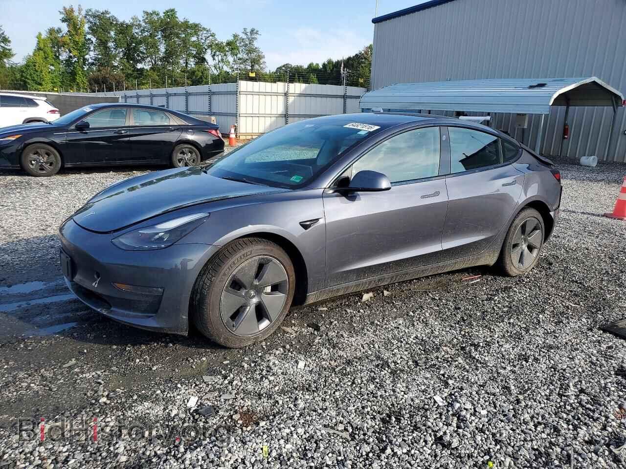 Фотография 5YJ3E1EB0PF416690 - TESLA MODEL 3 2023