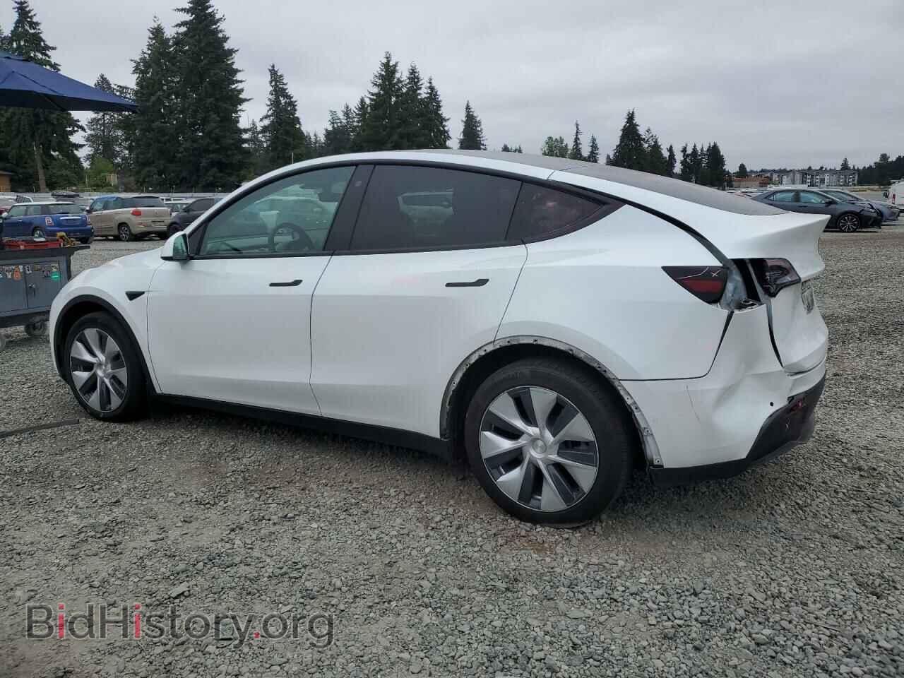 2021 TESLA MODEL Y - VIN: 5YJYGDEE8MF106911 - Photo 2