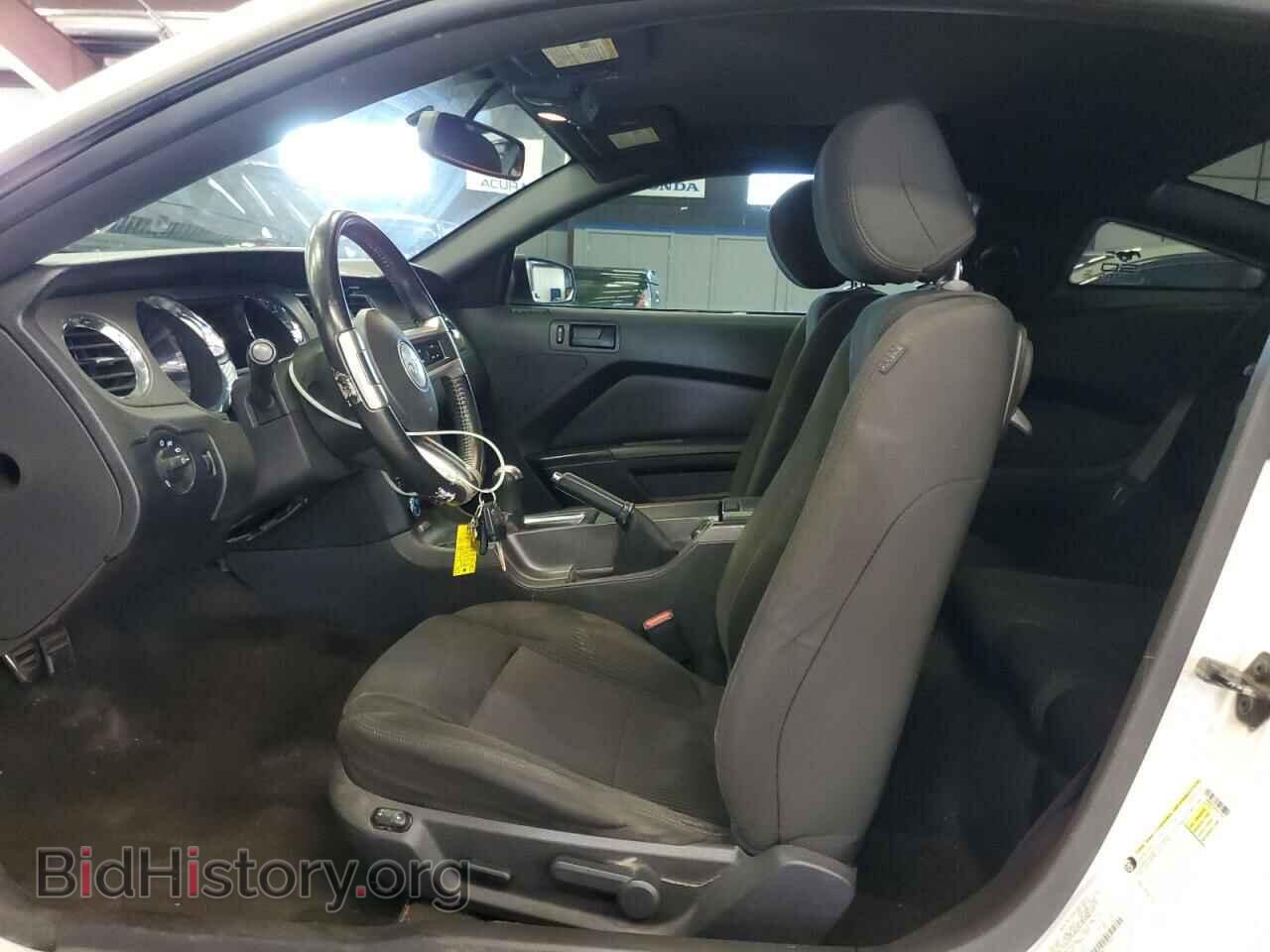 2013 FORD MUSTANG - VIN: 1ZVBP8CF3D5257937 - Фото 7