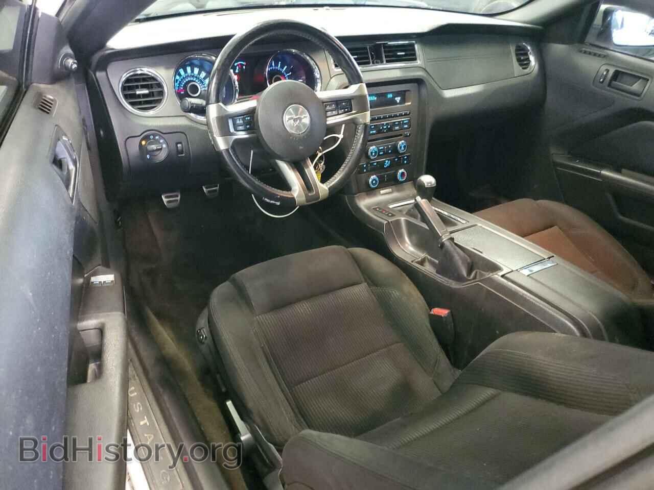 2013 FORD MUSTANG - VIN: 1ZVBP8CF3D5257937 - Фото 8