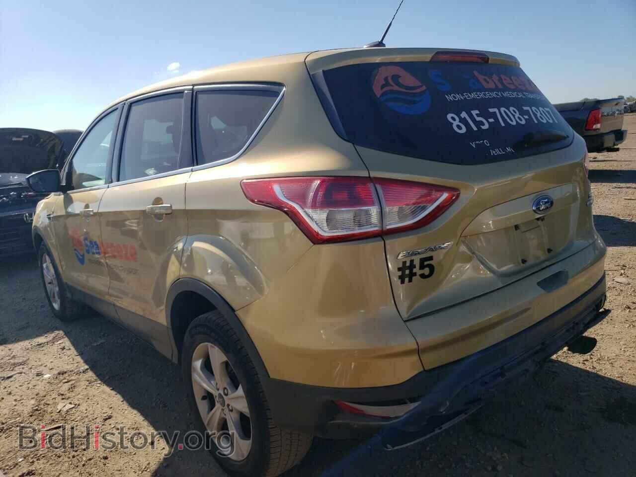 2014 FORD ESCAPE - VIN: 1FMCU0GX0EUD07636 - Photo 2