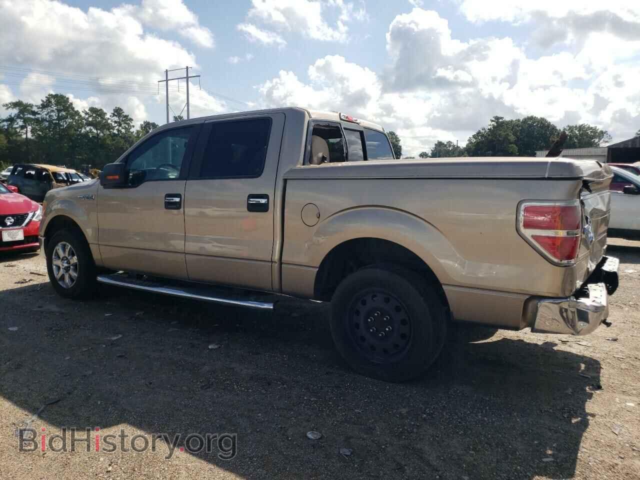 2013 FORD F-150 - VIN: 1FTFW1CF5DFD22845 - Photo 2